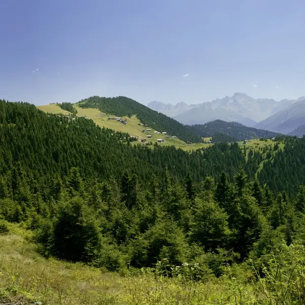 Hautes Terres de la Mer Noire : Ayder & Pokut (5 Jours)