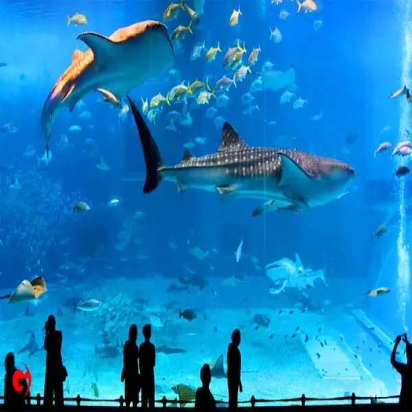 istanbul-tours/family-tours/istanbul-aquarium-tour