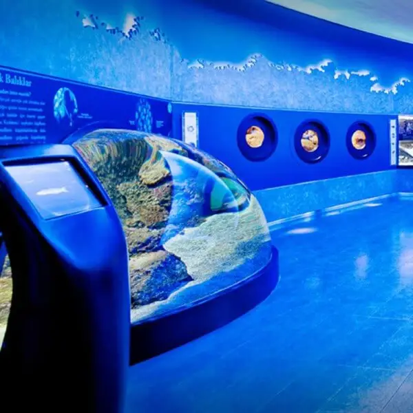 istanbul-tours/family-tours/istanbul-aquarium-tour