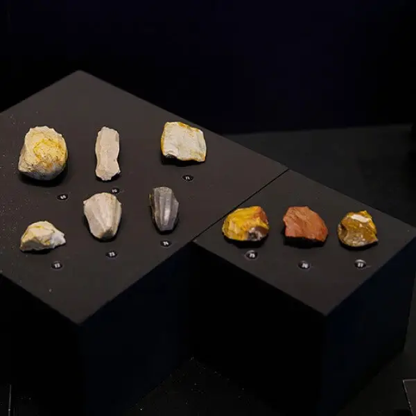 istanbul-tours/istanbul-museumsfuhrungen/fuhrung-durch-das-archaologische-museum-istanbul