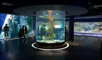 Aqua Florya