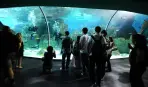 Aqua Florya